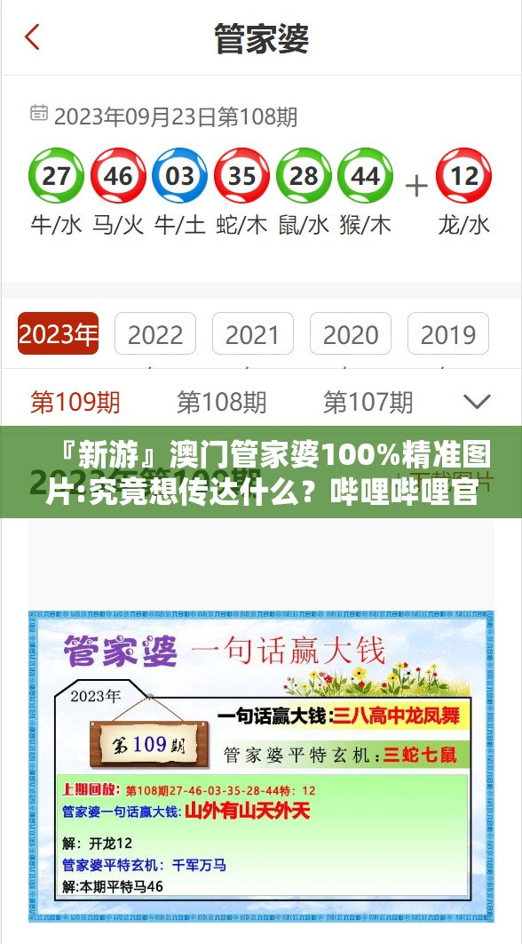 『新游』澳门管家婆100%精准图片:究竟想传达什么？哔哩哔哩官网