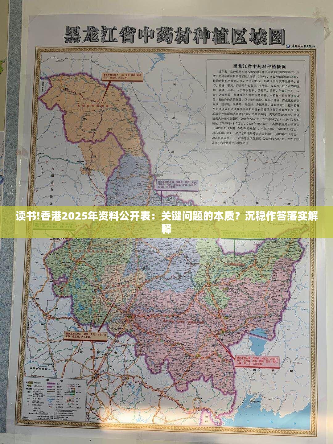 读书!香港2025年资料公开表：关键问题的本质？沉稳作答落实解释