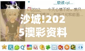 沙城!2025澳彩资料正版大全免费：你还在等待什么？-哔哩哔哩