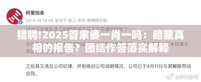 猎聘!2025管家婆一肖一吗：暗藏真相的报告？团结作答落实解释