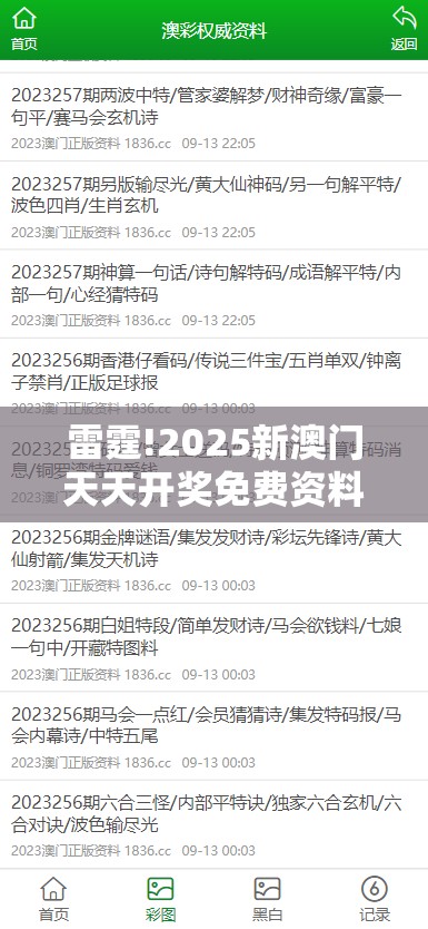 雷霆!2025新澳门天天开奖免费资料大全：难道不值得被发现？-哔哩哔哩