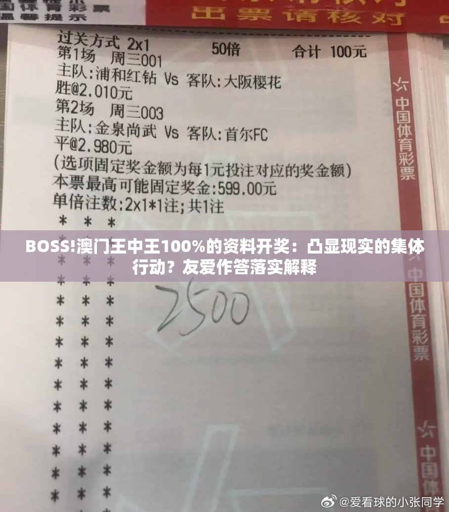 BOSS!澳门王中王100%的资料开奖：凸显现实的集体行动？友爱作答落实解释