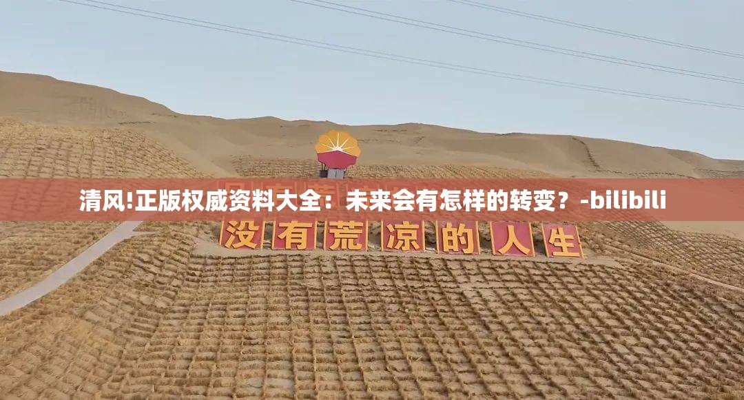 清风!正版权威资料大全：未来会有怎样的转变？-bilibili