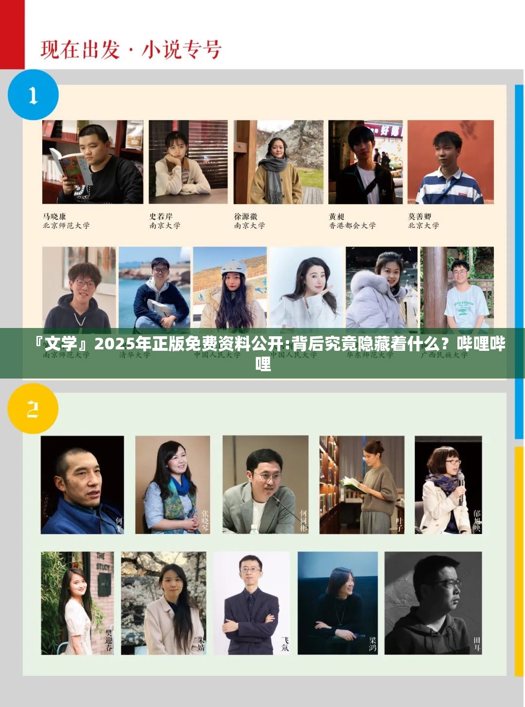 『文学』2025年正版免费资料公开:背后究竟隐藏着什么？哔哩哔哩