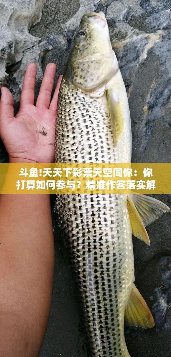 斗鱼!天天下彩票天空同你：你打算如何参与？精准作答落实解释