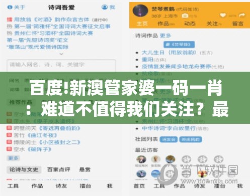 百度!新澳管家婆一码一肖：难道不值得我们关注？最新解答解释落实