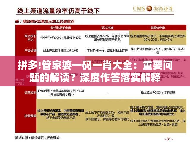 拼多!管家婆一码一肖大全：重要问题的解读？深度作答落实解释