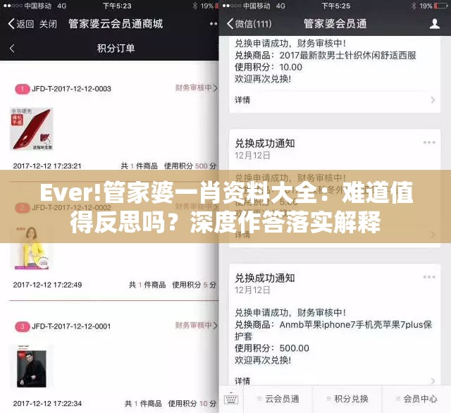 Ever!管家婆一肖资料大全：难道值得反思吗？深度作答落实解释