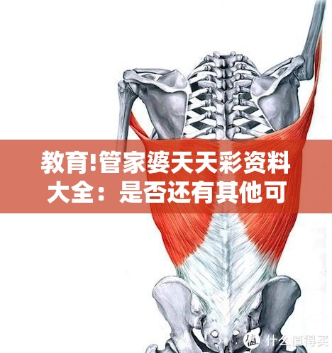 教育!管家婆天天彩资料大全：是否还有其他可能性？通常作答落实解释