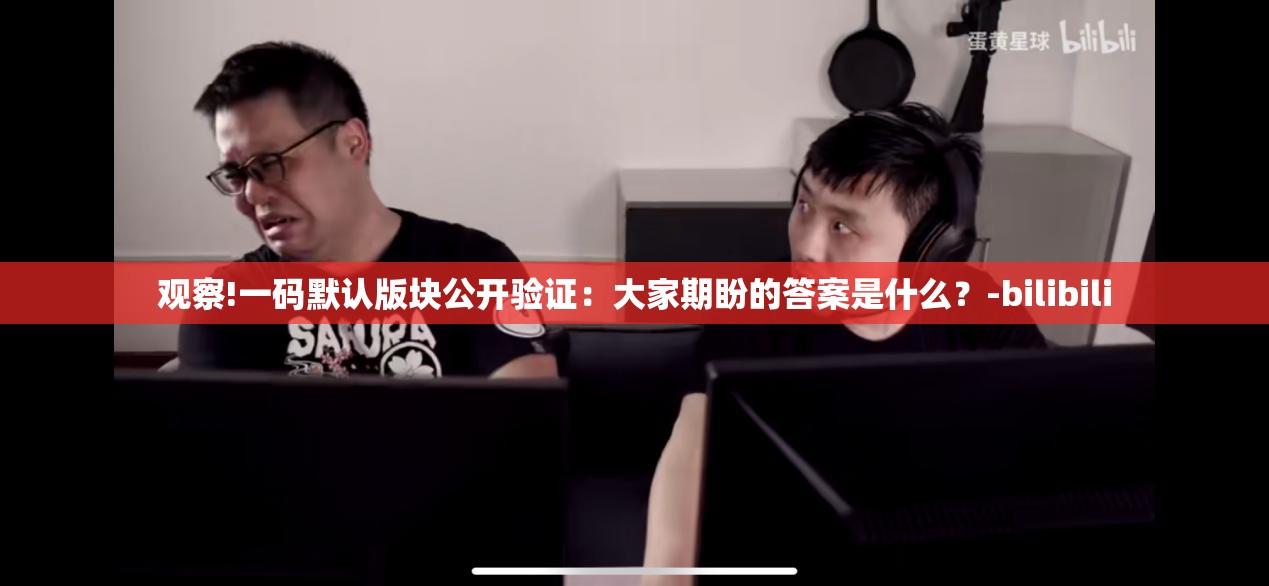 观察!一码默认版块公开验证：大家期盼的答案是什么？-bilibili