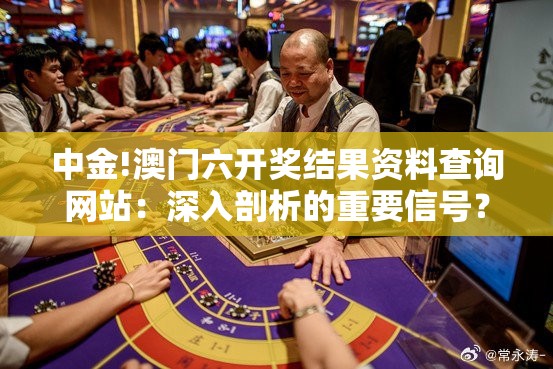 中金!澳门六开奖结果资料查询网站：深入剖析的重要信号？沉稳作答落实解释