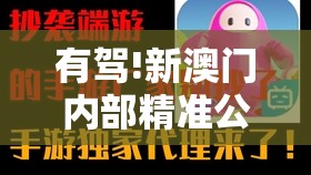 有驾!新澳门内部精准公开：你准备好与我探讨吗？-哔哩哔哩