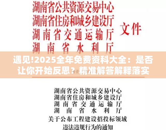 遇见!2025全年免费资科大全：是否让你开始反思？精准解答解释落实
