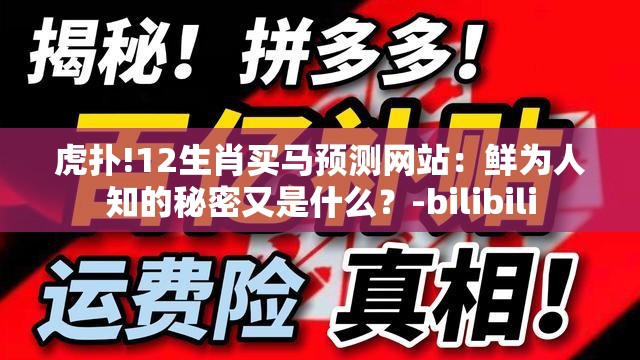 虎扑!12生肖买马预测网站：鲜为人知的秘密又是什么？-bilibili
