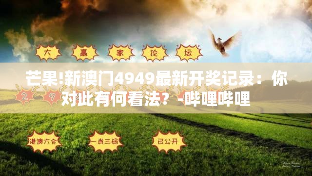 芒果!新澳门4949最新开奖记录：你对此有何看法？-哔哩哔哩