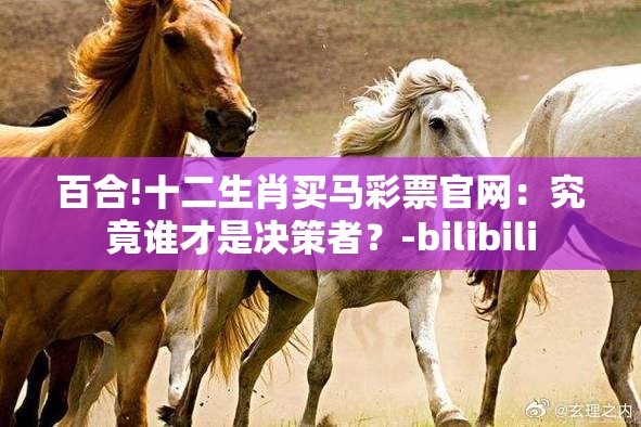 百合!十二生肖买马彩票官网：究竟谁才是决策者？-bilibili