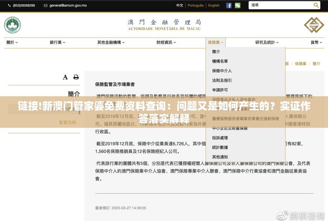 链接!新澳门管家婆免费资料查询：问题又是如何产生的？实证作答落实解释
