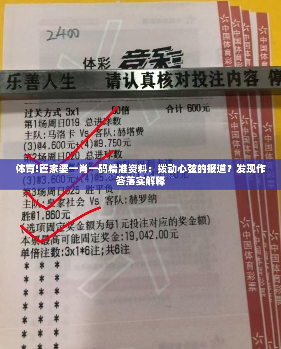 体育!管家婆一肖一码精准资料：拨动心弦的报道？发现作答落实解释