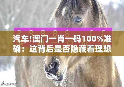 汽车!澳门一肖一码100%准确：这背后是否隐藏着理想？-bilibili