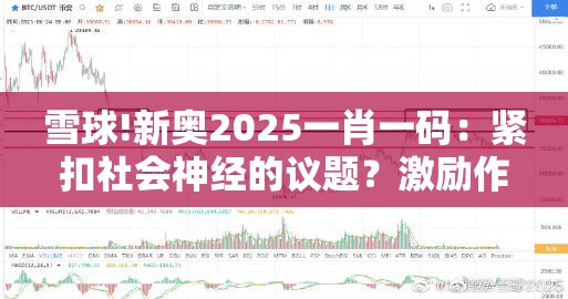 雪球!新奥2025一肖一码：紧扣社会神经的议题？激励作答落实解释
