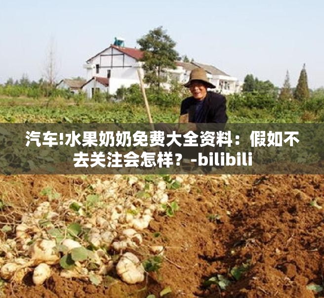 汽车!水果奶奶免费大全资料：假如不去关注会怎样？-bilibili