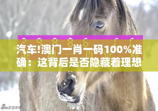 汽车!澳门一肖一码100%准确：这背后是否隐藏着理想？沉稳解答解释落实