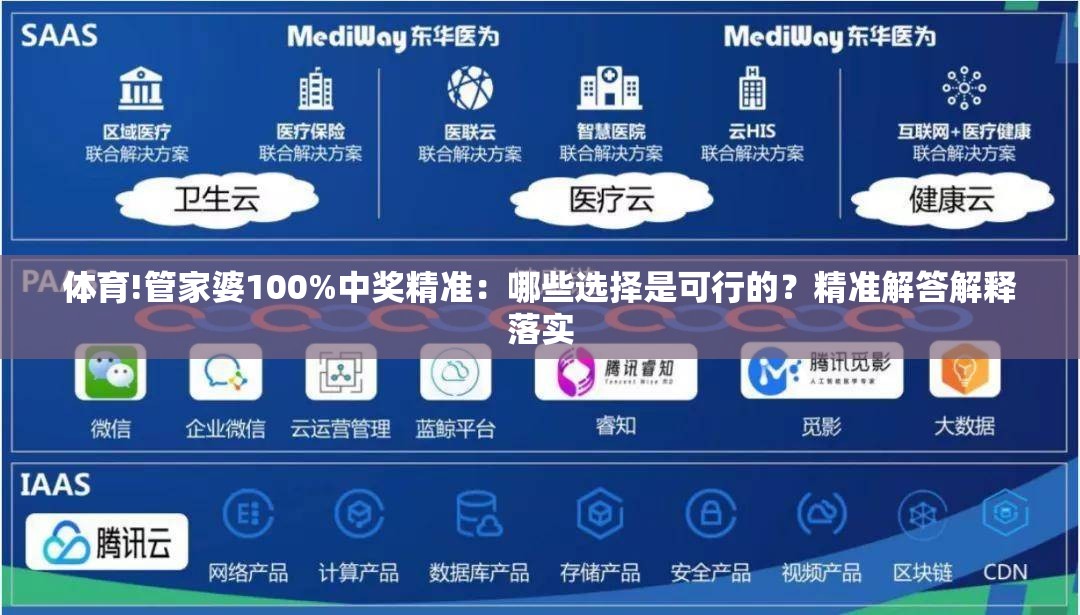 体育!管家婆100%中奖精准：哪些选择是可行的？精准解答解释落实