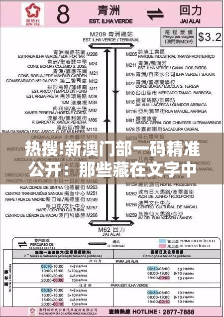 热搜!新澳门部一码精准公开：那些藏在文字中的故事？精选解答解释落实