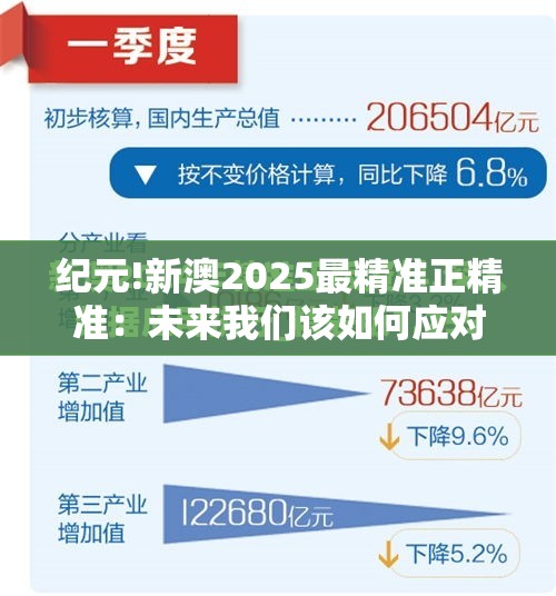 纪元!新澳2025最精准正精准：未来我们该如何应对？专业作答落实解释