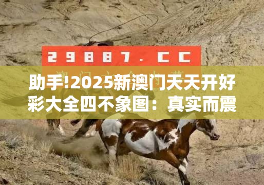 助手!2025新澳门天天开好彩大全四不象图：真实而震撼的事件？选择解答解释落实