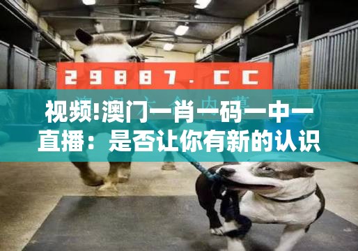 视频!澳门一肖一码一中一直播：是否让你有新的认识？实证解答解释落实