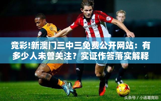 竞彩!新澳门三中三免费公开网站：有多少人未曾关注？实证作答落实解释