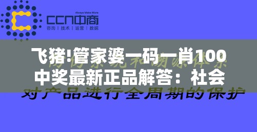 飞猪!管家婆一码一肖100中奖最新正品解答：社会在其中扮演什么角色？-bilibili
