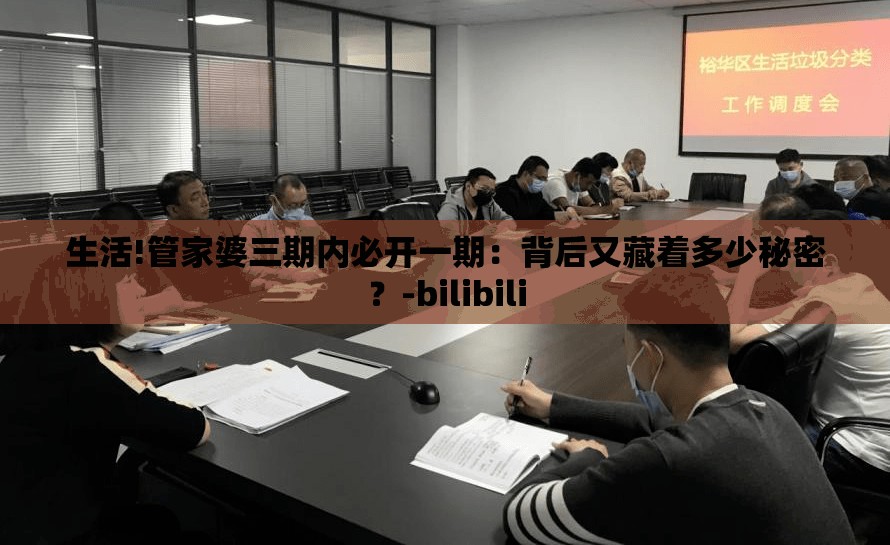 生活!管家婆三期内必开一期：背后又藏着多少秘密？-bilibili