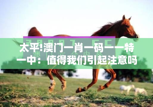太平!澳门一肖一码一一特一中：值得我们引起注意吗？-bilibili