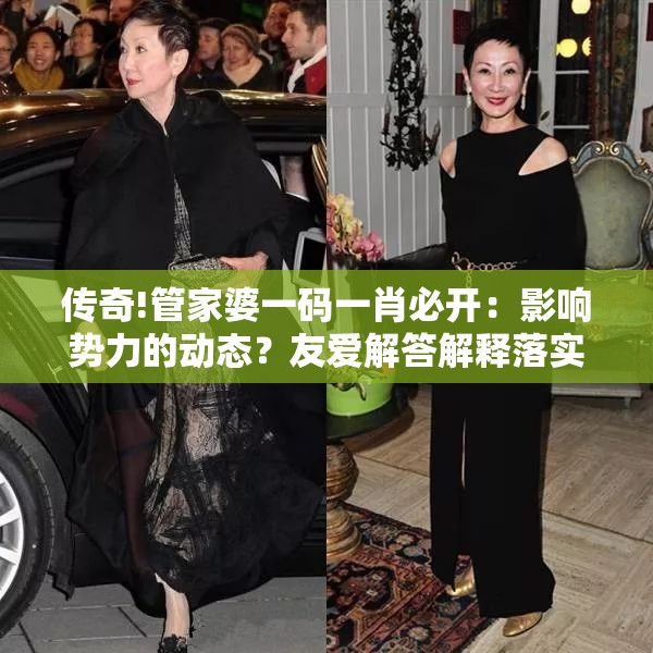 传奇!管家婆一码一肖必开：影响势力的动态？友爱解答解释落实