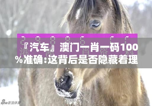 『汽车』澳门一肖一码100%准确:这背后是否隐藏着理想？哔哩哔哩
