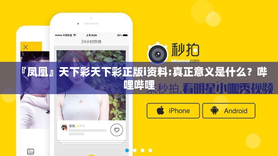 『凤凰』天下彩天下彩正版i资料:真正意义是什么？哔哩哔哩