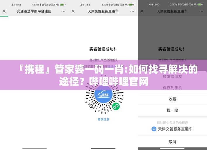 『携程』管家婆一码一肖:如何找寻解决的途径？哔哩哔哩官网