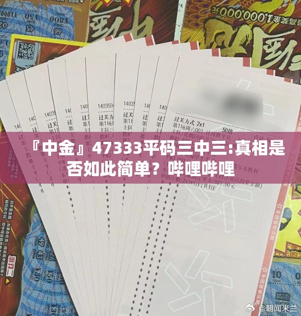『中金』47333平码三中三:真相是否如此简单？哔哩哔哩