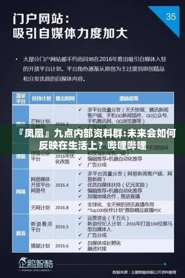 『凤凰』九点内部资料群:未来会如何反映在生活上？哔哩哔哩
