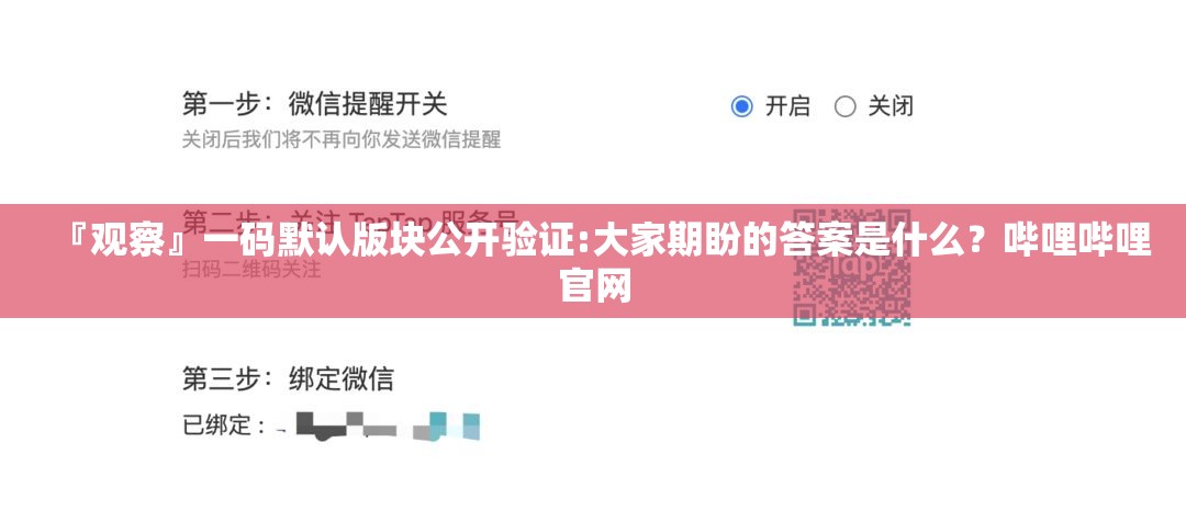 『观察』一码默认版块公开验证:大家期盼的答案是什么？哔哩哔哩官网