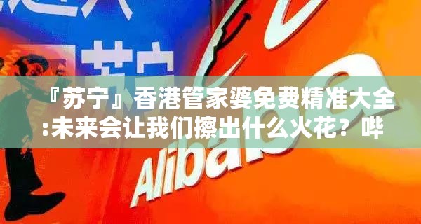 『苏宁』香港管家婆免费精准大全:未来会让我们擦出什么火花？哔哩哔哩官网