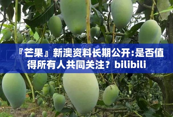 『芒果』新澳资料长期公开:是否值得所有人共同关注？bilibili