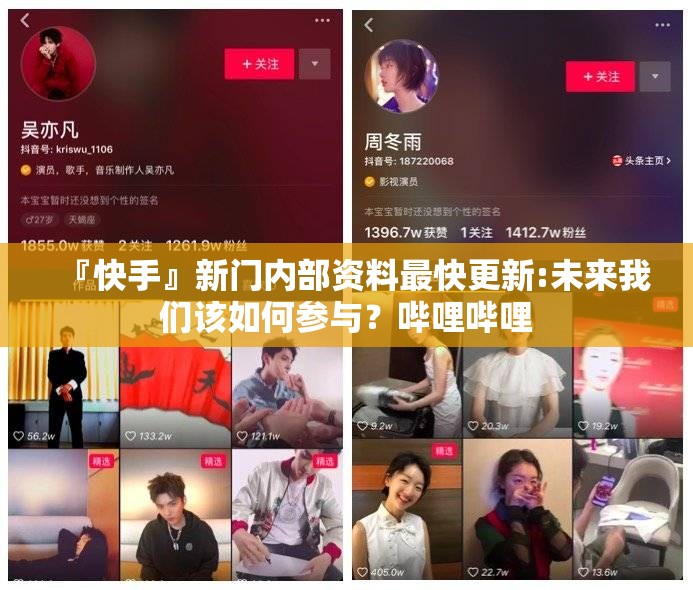 『快手』新门内部资料最快更新:未来我们该如何参与？哔哩哔哩