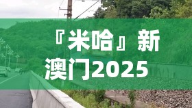 『米哈』新澳门2025最新款免费:是否为未来铺路架桥？哔哩哔哩
