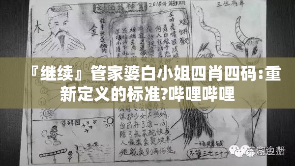 『继续』管家婆白小姐四肖四码:重新定义的标准?哔哩哔哩