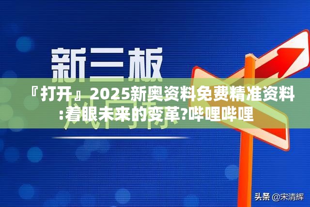 『打开』2025新奥资料免费精准资料:着眼未来的变革?哔哩哔哩