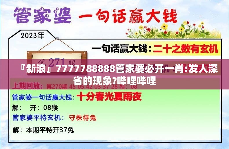 『新浪』7777788888管家婆必开一肖:发人深省的现象?哔哩哔哩
