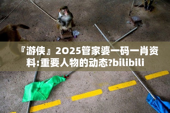 『游侠』2O25管家婆一码一肖资料:重要人物的动态?bilibili